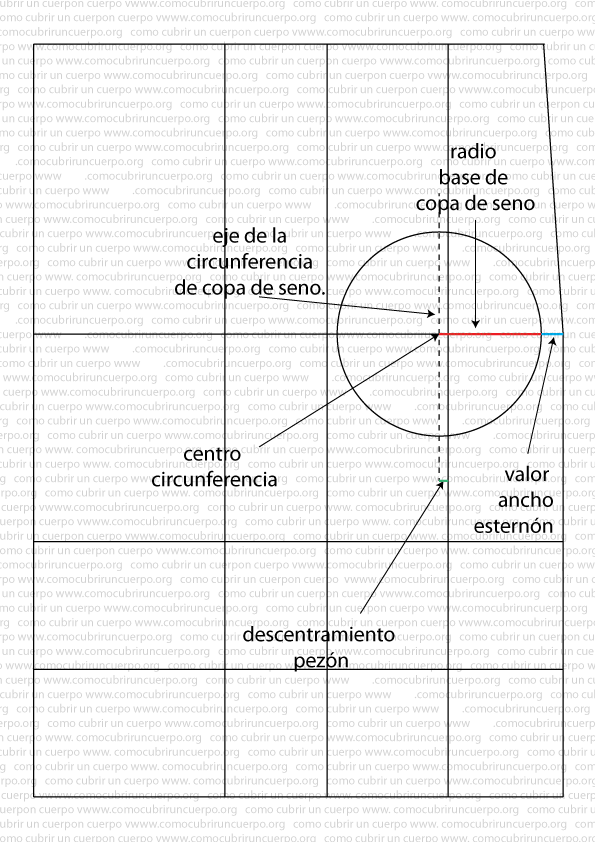 patrón-del-corsé-de-copas-separadas-03