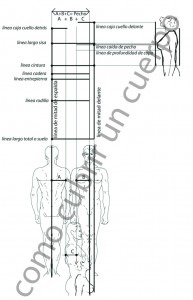 contorno de pecho femenino