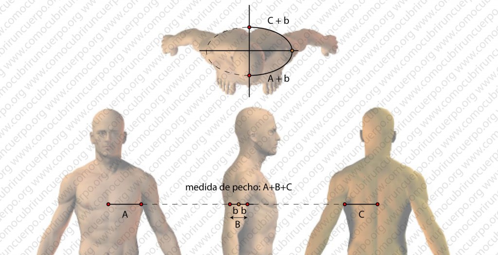 131226_PROPORCIONES PECHO_01