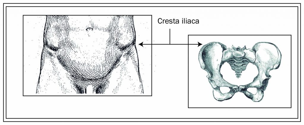 Cómo cubrir un cuerpo medidas mujer