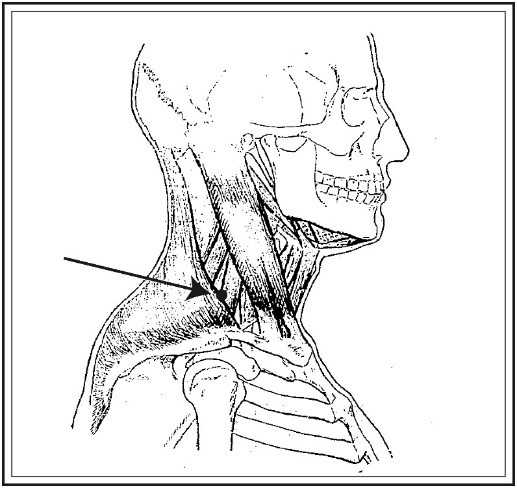 Cómo cubrir un cuerpo medidas mujer