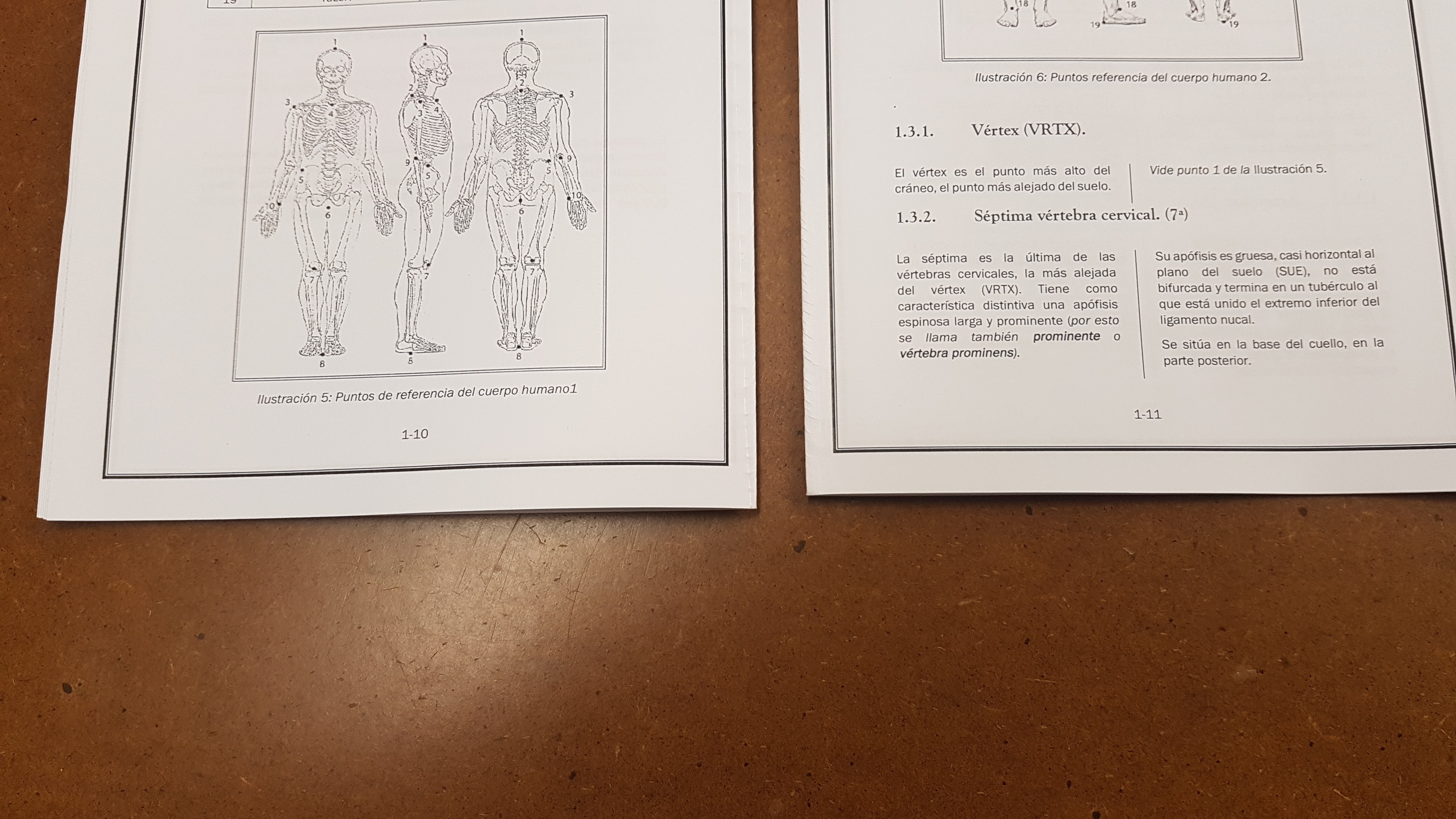 Encuadernación Cómo cubrir un cuerpo 007