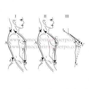Cómo cubrir un cuerpo