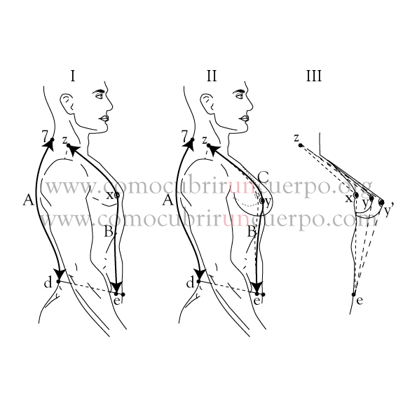 Cómo cubrir un cuerpo